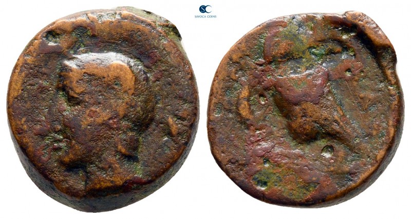 Sicily. Kamarina 410-405 BC. 
Tetras Æ

16 mm., 3,69 g.



fine