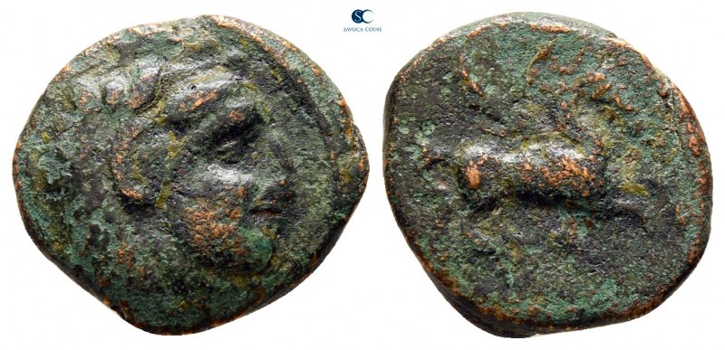 Sicily. Kephaloidion circa 305-280 BC. 
Bronze Æ

14 mm., 1,75 g.



near...
