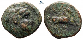 Sicily. Kephaloidion circa 305-280 BC. Bronze Æ
