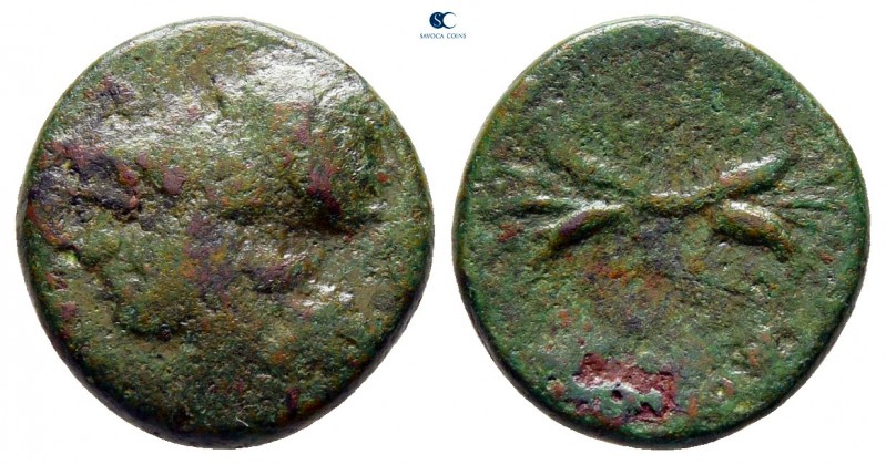 Sicily. Syracuse circa 305-295 BC. 
Bronze Æ

13 mm., 1,74 g.



fine