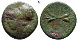 Sicily. Syracuse circa 305-295 BC. Bronze Æ