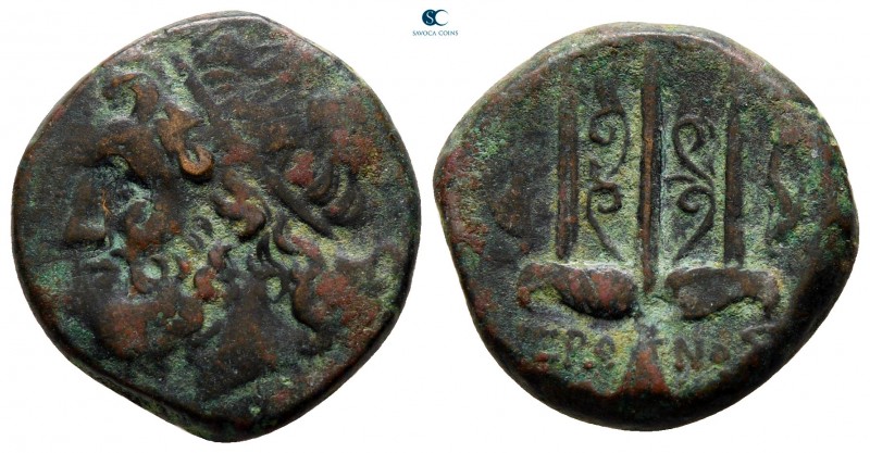 Sicily. Syracuse. Hieron II 275-215 BC. 
Bronze Æ

20 mm., 5,87 g.



nea...