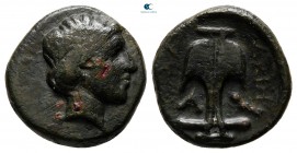 Thrace. Apollonia Pontica circa 400-330 BC. Bronze Æ