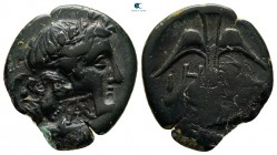 Thrace. Apollonia Pontica circa 350-300 BC. Bronze Æ