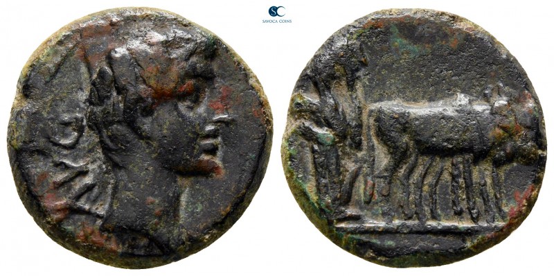 Macedon. Philippi. Augustus 27 BC-AD 14. 
Bronze Æ

18 mm., 5,15 g.



ne...