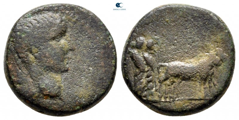 Macedon. Philippi. Drusus, son of Tiberius AD 22-23. 
Bronze Æ

16 mm., 4,61 ...