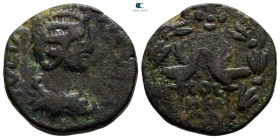 Phoenicia. Berytus. Julia Domna, wife of Septimius Severus AD 193-217. Bronze Æ