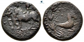 Commagene. Commagene. Epiphanes & Kallinikos AD 72. Bronze Æ