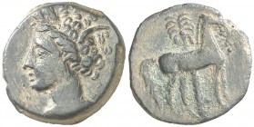 (s. IV a.C.). Zeugitana. Cartago. AE 17. (S. 6444 var). 3,01 g. MBC+.