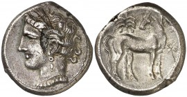 (300-264 a.C.). Zeugitana. Cartago. Shekel. (S. 6491). 7,41 g. Vano en anverso. MBC+.
