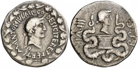 (39 a.C.). Marco Antonio y Octavia. Efeso. Cistóforo. (Spink 1512) (S. 2) (RPC. 2201). 10,59 g. MBC.