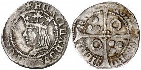 Ferran II (1479-1516). Perpinyà. Croat. (Cru.V.S. tipo 1156) (Cru.C.G. 3075i). 3,06 g. Acuñación floja. Rara. MBC.