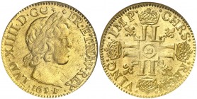 1651/44. Francia. Luis XIV. D (Lyon). 1 luis de oro. (Fr. 415) (Kr. 149.2). AU. En cápsula de la NGC como MS64, nº 357531-003. Bella. Brillo original....