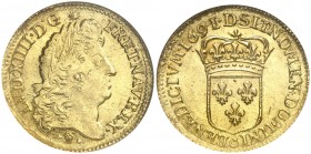 1691. Francia. Luis XIV. D (Lyon). 1 luis de oro. (Fr. 429) (Kr. 278.3). AU. En cápsula de la NGC como MS63, nº 3067979-003. Bella. Brillo original. R...