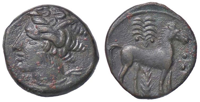 GRECHE - SICILIA - Siculo-Puniche - AE 17 - Testa di Persefone a s. /R Cavallo s...