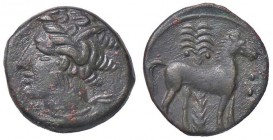 GRECHE - SICILIA - Siculo-Puniche - AE 17 - Testa di Persefone a s. /R Cavallo stante a d.; dietro, palmizio Buceti 70 (AE g. 2,78)
qSPL/SPL