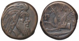 GRECHE - CHERSONESUS - Pantikapaion - AE 22 - Testa di satiro a d. /R Grifone a s.; sotto, un pesce S. Cop. 35/6; Sear 1700 (AE g. 7,71)
BB
