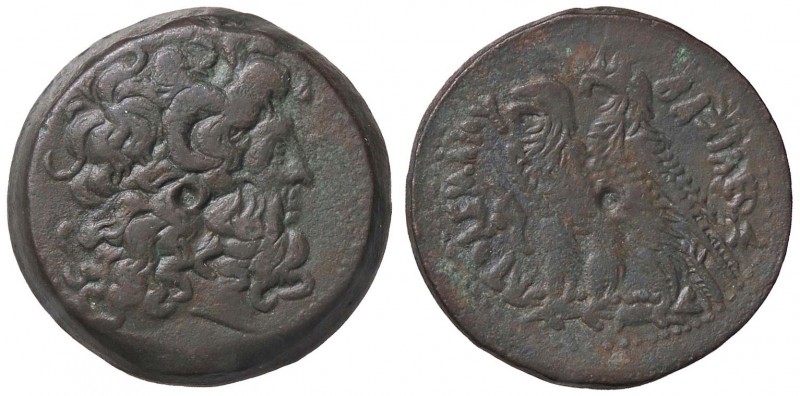 GRECHE - RE TOLEMAICI - Tolomeo V, Epifane (204-180 a.C.) - AE 29 - Testa di Zeu...