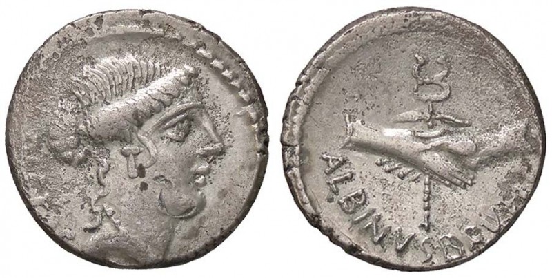 ROMANE REPUBBLICANE - POSTUMIA - C. Postumius (74 a.C.) - Denario - Testa della ...