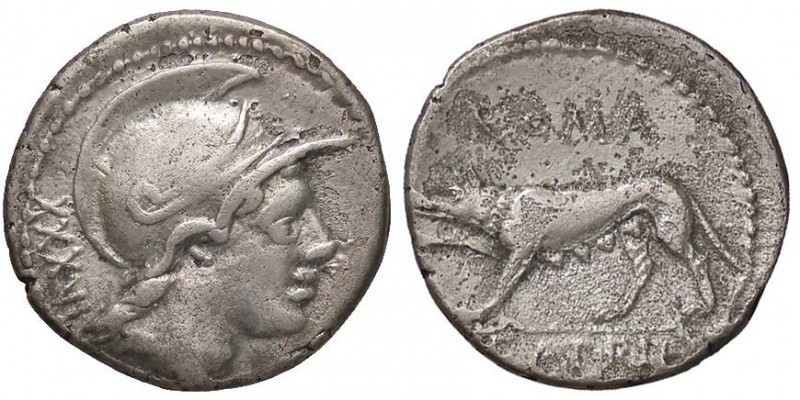ROMANE REPUBBLICANE - SATRIENA - P. Satrienus (77 a.C.) - Denario - Testa di Rom...
