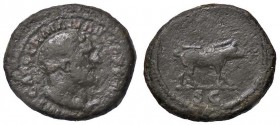 ROMANE IMPERIALI - Traiano (98-117) - Quadrante - Busto barbuto di Ercole a d. /R Cinghiale andante a d. C. 341 (AE g. 3,02)
BB