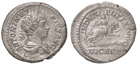 ROMANE IMPERIALI - Caracalla (198-217) - Denario - Busto giovanile laureato e drappeggiato a d. /R La dea Celeste con fulmine e scettro su un leone ch...