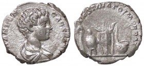 ROMANE IMPERIALI - Caracalla (198-217) - Denario - Busto giovanile laureato e drappeggiato a d. /R Strumenti sacrificali C. 587 (AG g. 2,71)
BB+