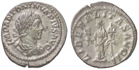 ROMANE IMPERIALI - Elagabalo (218-222) - Denario - Busto laureato e drappeggiato a d. /R La Liberalità stante a s. tiene un abaco e una cornucopia C. ...
