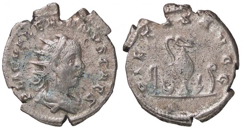 ROMANE IMPERIALI - Valeriano II (253-255) - Antoniniano - Busto radiato e drappe...