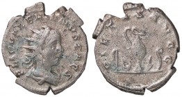 ROMANE IMPERIALI - Valeriano II (253-255) - Antoniniano - Busto radiato e drappeggiato a d. /R Strumenti sacrificali RIC 19 (AG g. 3,5)
BB