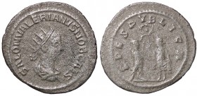 ROMANE IMPERIALI - Salonino (260) - Antoniniano - Busto radiato e drappeggiato a d. /R Salonino stante a d. con la Speranza di fronte che gli pone un ...