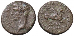ROMANE PROVINCIALI - Caligola (37-41) - AE 21 (AE g. 6,88)
qBB