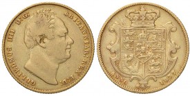 ESTERE - GRAN BRETAGNA - Guglielmo IV (1830-1837) - Sterlina 1837 Kr. 717 (AU g. 7,82)
MB-BB