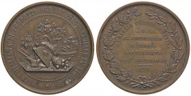 MEDAGLIE - CITTA' - Firenze - Medaglia 1870 - Fiera italiana di prodotti agrari e industriali AE Opus: Gori Ø 41
SPL
