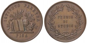 MEDAGLIE - CITTA' - Pisa - Medaglia Istituto Pereyra AE Ø 33
SPL