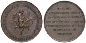 MEDAGLIE - CITTA' - Roma - Medaglia 1893 - Accademia nazionale di San Luca, III centenario della fondazione AE Ø 54 Colpetti
BB+