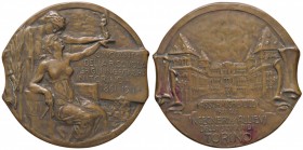 MEDAGLIE - CITTA' - Torino - Medaglia 1911 - Scuola ingegneri AE Opus: Pardo Ø 61
SPL