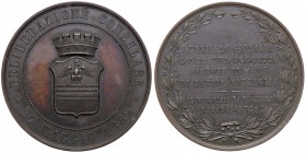 MEDAGLIE - CITTA' - Voghera - Medaglia 1882 - A Stanislao Grimaldi, pittore AE Opus: Bona Ø 60
SPL
