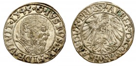 Prusy Książęce, Albrecht Hohenzollern, Grosz 1543, Królewiec