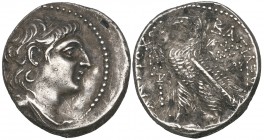 Seleucid Kings, Antiochus VII (138-129 BC), didrachm, Tyre, 136/5 BC, diademed bust right, rev., eagle standing left on prow; dated ZOP (year 177), 6....