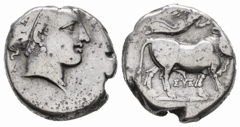 Campania. Neapolis. Dracma. 320-275 a.C. (Gc-309 variante). Ag. 7,15 g. BC+. Est...