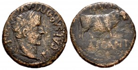 Cascantum. Semis. 14-36 d.C. Cascante (Navarra). Época de Tiberio. (Abh-693). (Acip-3160). Ae. 5,32 g. BC+. Est...35,00. /// ENGLISH: Cascantum. Half ...