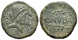 Onuba. As. 50 a.C. Huelva. (Abh-1892). (Acip-2419). Anv.: Cabeza masculina con casco a derecha, alrededor C. AELI. Q. PVBLILI. Rev.: Dos espigas a izq...