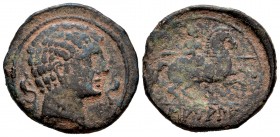 Samala. As. 120-20 a.C. Zona de Aragón. (Abh-2111). (Acip-1866). (C-1). Anv.: Cabeza masculina a derecha entre dos delfines. Rev.: Jinete con lanza a ...