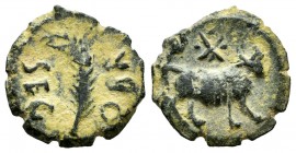 Segobriga. Cuadrante. 27 a.C.-14 d.C. Saelices (Cuenca). (Abh-2184). (Acip-3241). Anv.: Palma, alrededor SEG-OBR. Rev.: Toro a derecha, encima X entre...