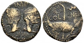 Augusto y Agripa. Dupondio. 10 d.C. Nimes. (Spink-1731). (Ric-159-160). Anv.:  IMP DIVI F P P. Bustos opuestos de Augusto y Agripa. Rev.: COL NEM. Coc...