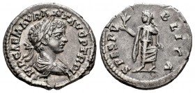 Caracalla. Denario. 199 d.C. Laodicea. (Spink-6889). (Ric-341a). (Seaby-600). Rev.: SPES PVBLICA. La Esperanza avanzando a izquierda con una flor y su...