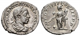 Eliogábalo. Denario. 221 d.C. Roma. (Spink-7534). (Ric-42). (Seaby-189b). Rev.: P M TR P IIII COS III P P. Providencia de pie a izquierda con vara y c...