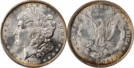 Morgan Silver Dollar

1878 Morgan Silver Dollar. 8 Tailfeathers. MS-64 (ANACS). OH.

PCGS# 7072. NGC ID: 253H.