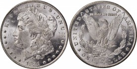 Morgan Silver Dollar

1881-CC Morgan Silver Dollar. MS-63 (PCGS). OGH.

PCGS# 7126. NGC ID: 2547.